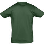 6_T-Shirt-REGENT-11380-Vert-Sols